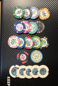 20 chip sample.webp
