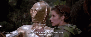 IMG_2545.gif