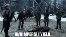 IMG_7463.gif