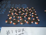 IMG_4817.webp