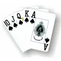 Jumbo.webp