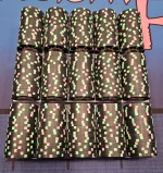 1000029442.webp