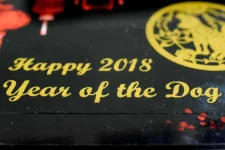 msk-year-of-dog-07.webp