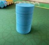 Day blue 1.webp