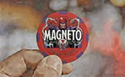 magento chip.webp