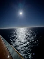IMG_3404.webp
