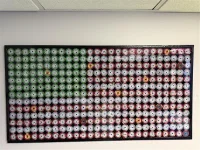 Chip Flag.webp