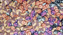 ST CHIPS 2.webp