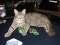 DSC00972.jpg