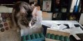 20180602_091125.jpg