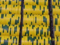 100_4681.JPG