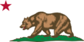 cal bear.png