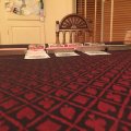 IMG_2011.JPG