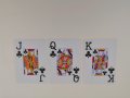 IMG_20190612_132555.jpg