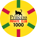 Princess-T1000-ChipAndLabel.png