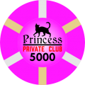 Princess-T5000-ChipAndLabel.png