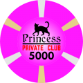 Princess-T5000.png