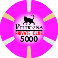 Princess-T5000.png