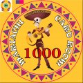 1000 FULL CHIP.jpg