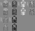2020.1.26 GS ANE Cash .png