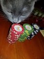 20200130_104046.jpg 20200130_104046.jpg