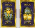 chipco_egypt_2.jpg