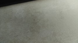 IMAG0192.jpg