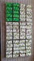 20160724_090745.jpg