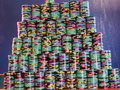 DSC01091.jpg