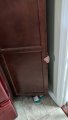 IMG_20200920_175901.jpg