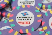 Chips-500.JPG
