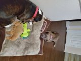 phone dump oct 13 2020 555.jpg