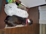 phone dump oct 13 2020 573.jpg