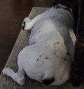 20201219_104414.jpg