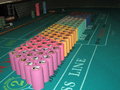IMG_2591.jpg