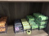 IMG_2586.JPEG