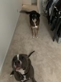 85627BA7-8044-44C3-B060-ED12E1916D58.jpeg