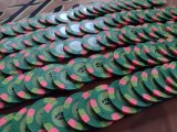 IMG_20211031_102057305.jpg