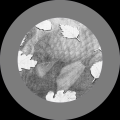 1642550140004.png 1642550140004.png