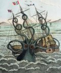 75769c249aaf39dd2d1e1e4e58294ebd--octopus-shower-curtains-cheap-curtains.jpg