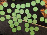 Green Faces.jpg