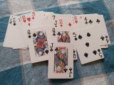 IMG_20220928_125125.jpg