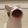 DaSilva