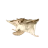flyingsquirrel