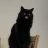 GalacticCat