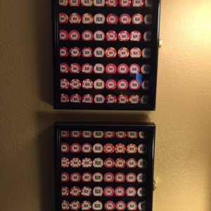 Paulson edge Sample Set