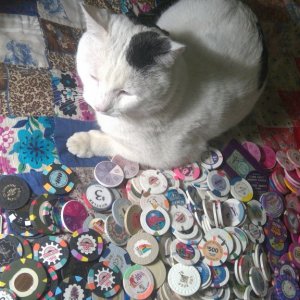 he thinks, if I am next to the white chips.....nobody can see me