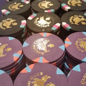 Black/Purple