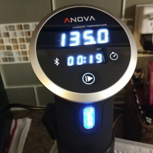 Anova