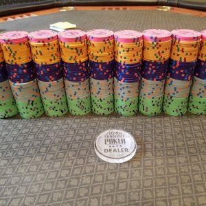 44mm Alpha Shootout 19